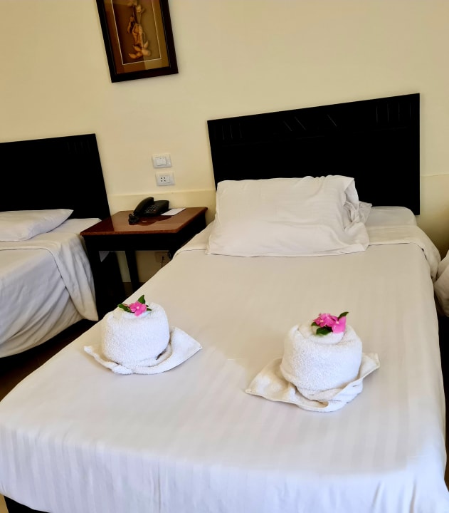 Zimmer Three Corners Sea Beach Resort