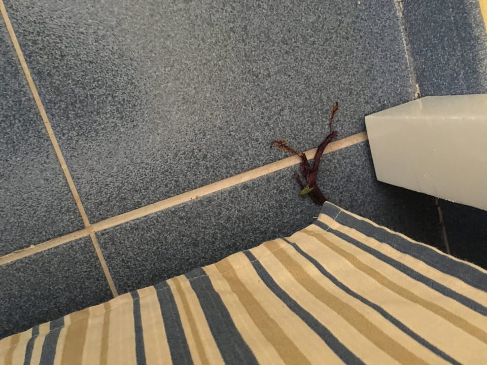 Ohne Kommentar Iberostar Origin Taínos