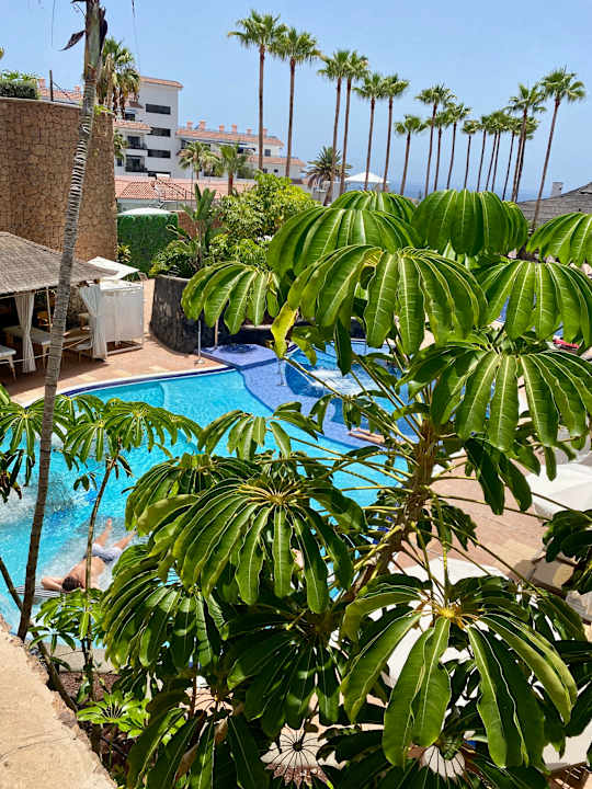 Pool Landmar Playa La Arena