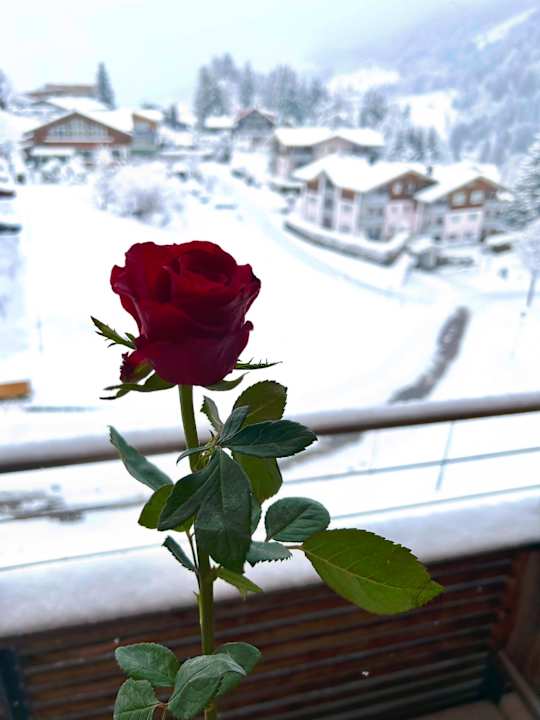 Ausblick A-ROSA Ifen Hotel Kleinwalsertal