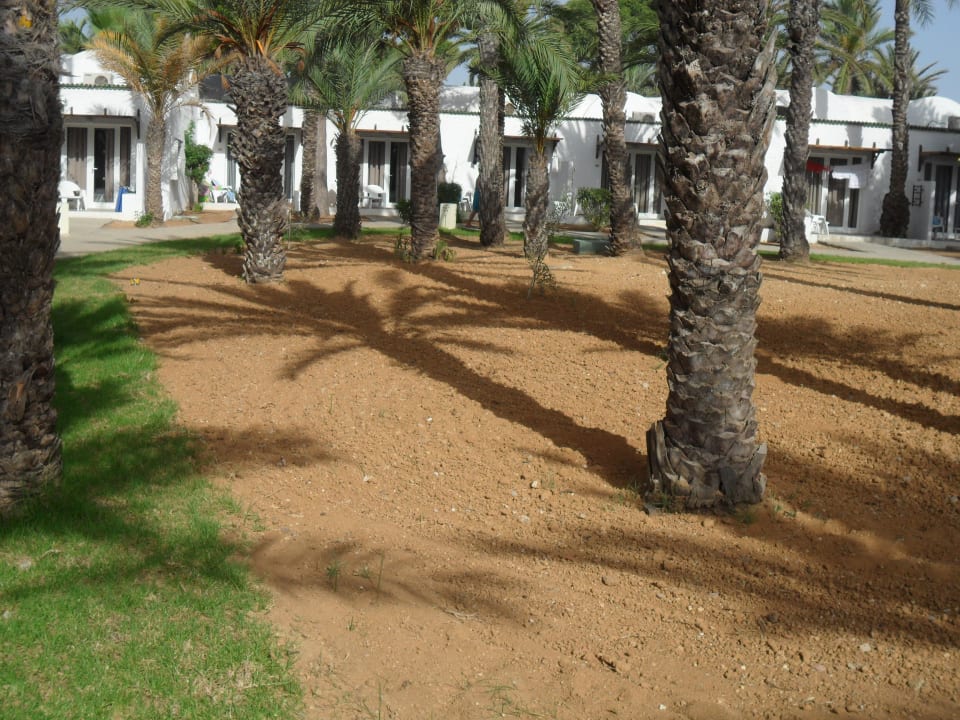 Brachland Monarque Club Rivage