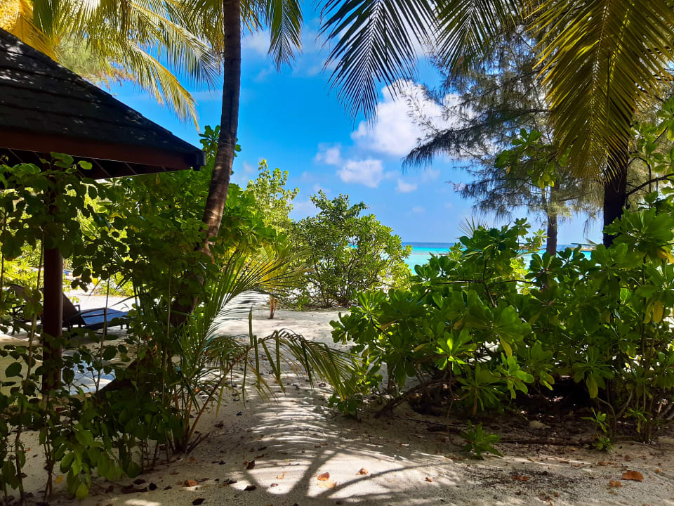Strand Summer Island Maldives