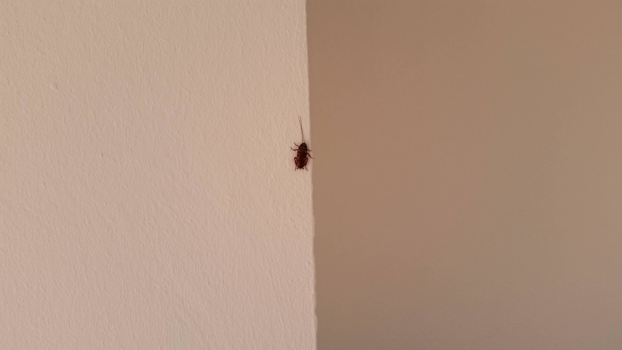 Auch die gab es H10 Ocean Suites