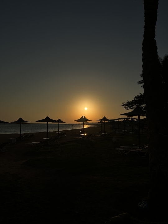 Ausblick JAZ Aquamarine Resort