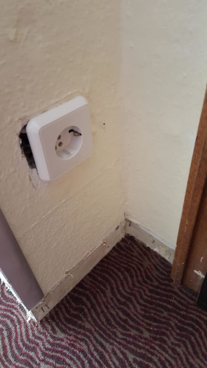 Freiliegende Steckdose Hotel Ahl Meerkatzen