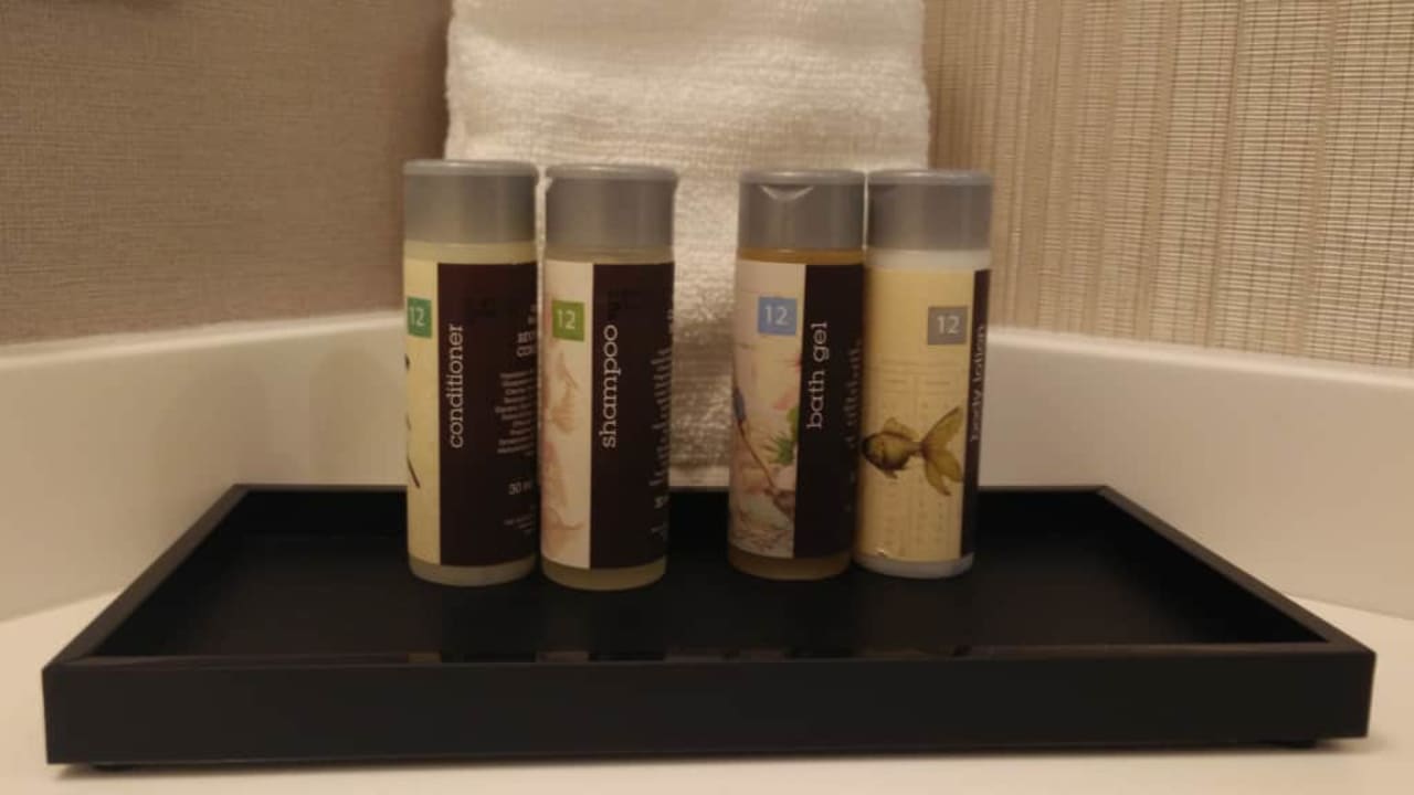 Kometyki Renaissance Paris Hotel La Defense