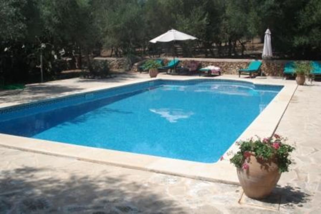 Poolbereich Hotel Sa Galera