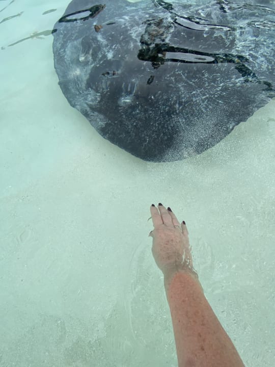 Sport & Freizeit NH Collection Maldives Reethi Resort