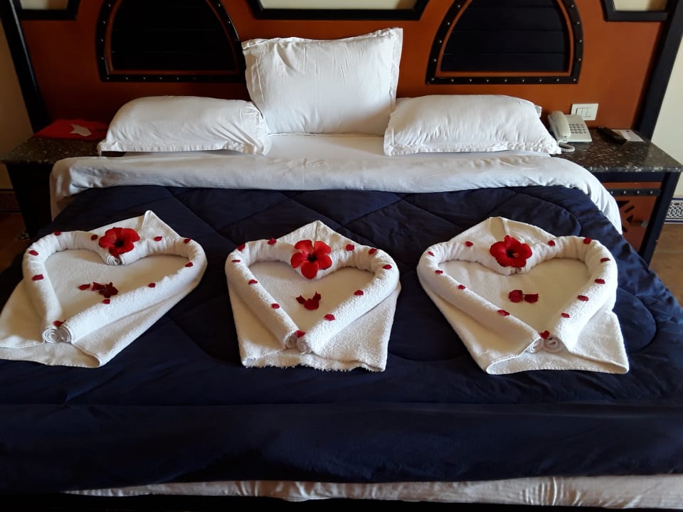 Zimmer Hotel Faraana Heights Resort