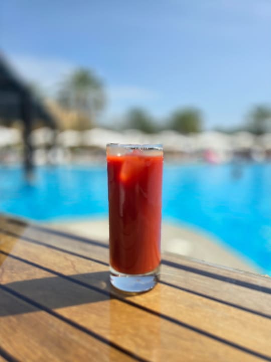 Gastro Miramar Al Aqah Beach Resort