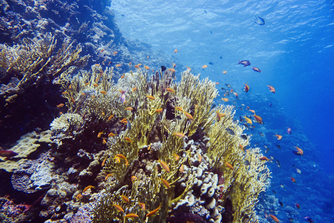 Sport & Freizeit Novotel Marsa Alam Beach Resort