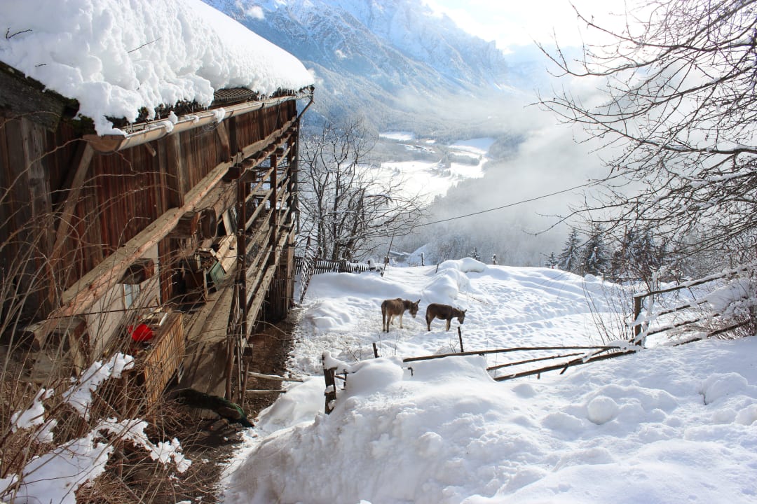 Stalla Agriturismo Soleseid