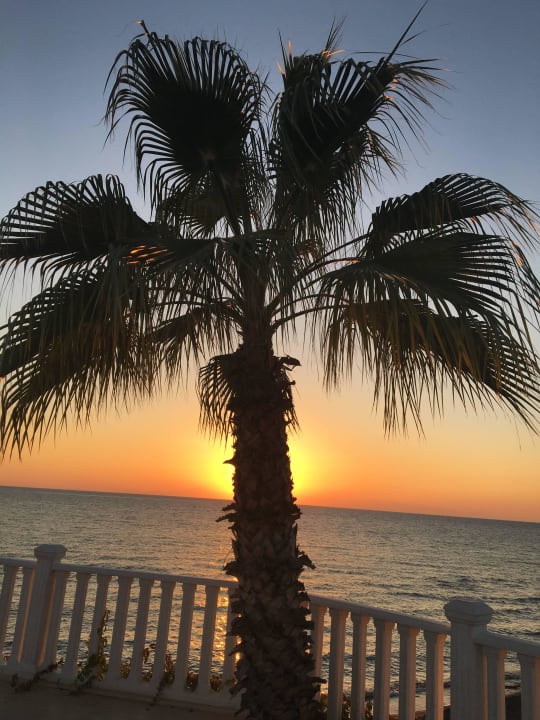 Sonnenuntergang am Aktivpool Flora Garden Beach Hotel ( 16+ Adults Only )