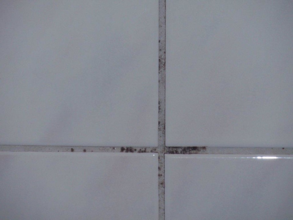 Das verschimmelte Badezimmer Strandslag Juliana