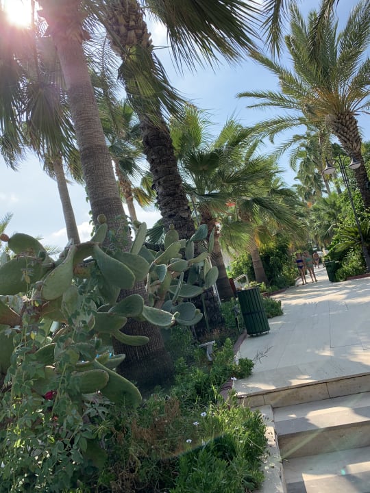 Gartenanlage Saphir Resort & Spa