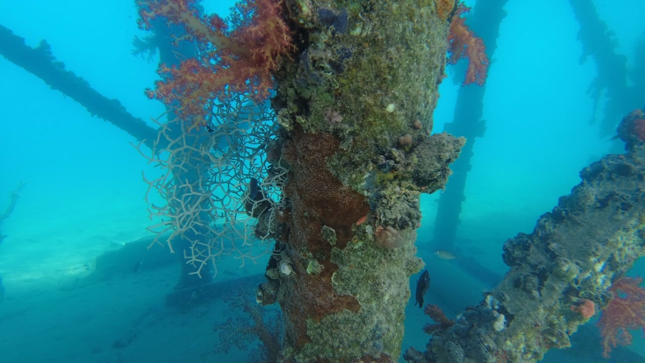 Strand Amarina Abu Soma Resort & Aquapark