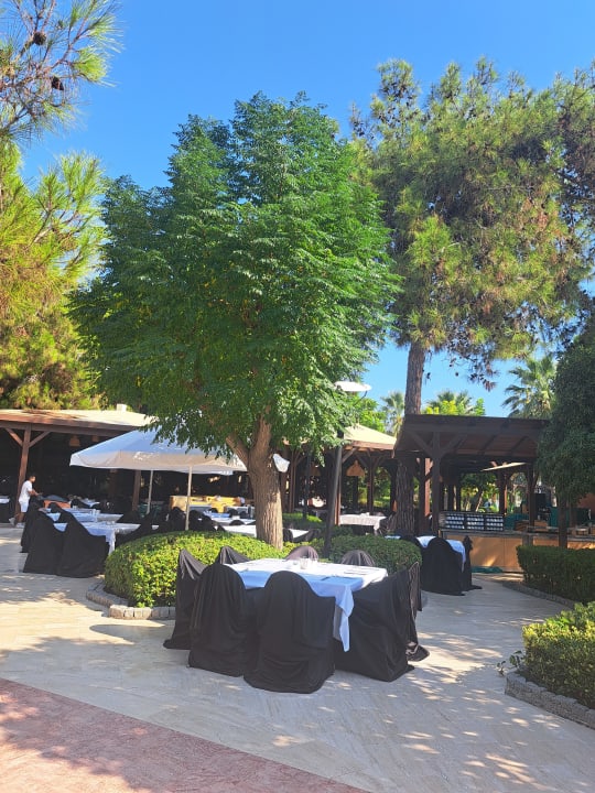 Gastro Blue Waters Club