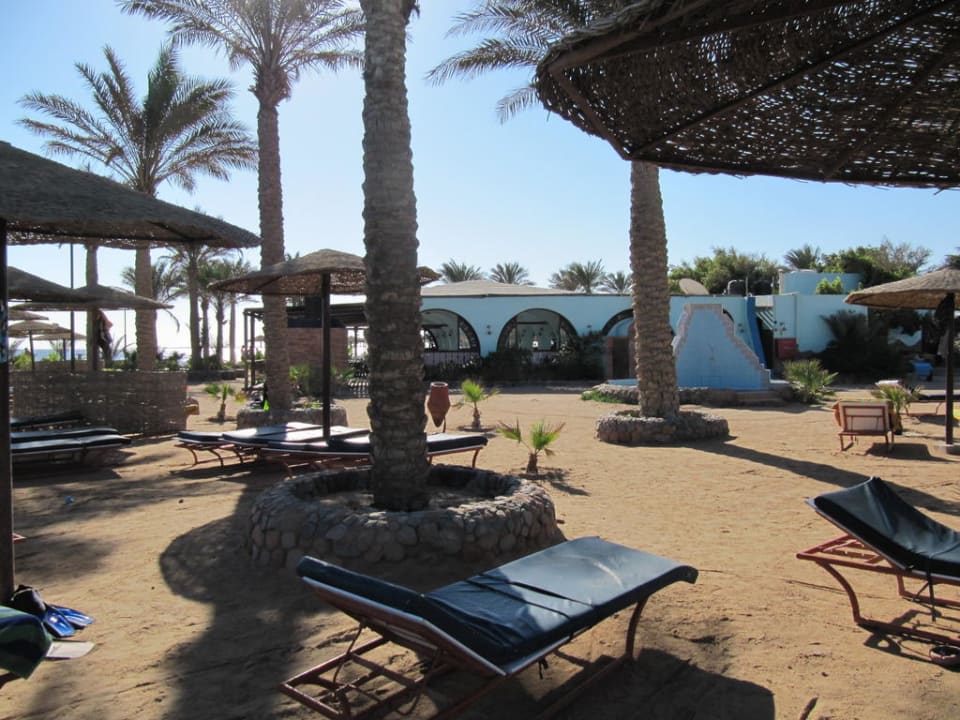 Strandliegen Arabia Azur Resort