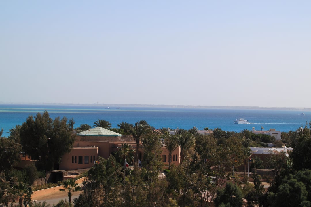 Aussicht aufs Rote Meer Hotel Turtle Guest House