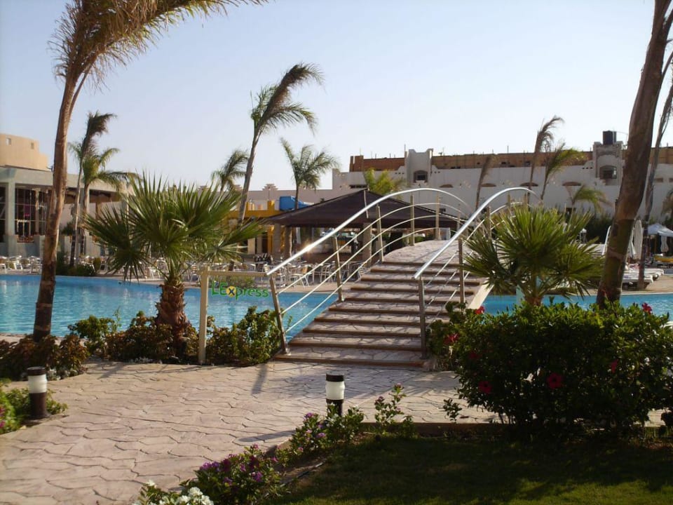 Przy basenie Prima Life Makadi Resort
