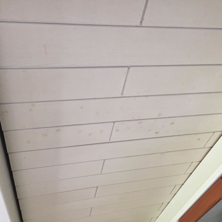 Verschmutze Decke Wohnzimmer / Küche Center Parcs Park Nordseeküste