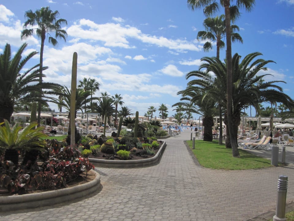 Blick vom Hotel in den Garten Hotel Riu Gran Canaria