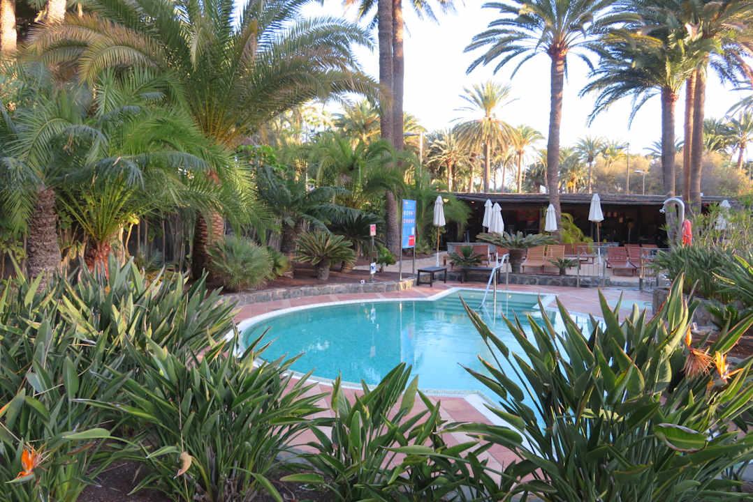 Pool Seaside Hotel Palm Beach