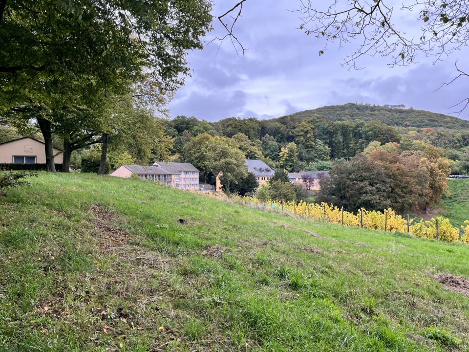 Außenansicht JUFA Hotel Königswinter