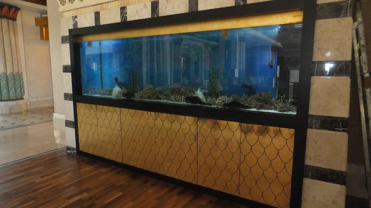 Ein großes Aquarium  Horus Paradise Luxury Resort & Club