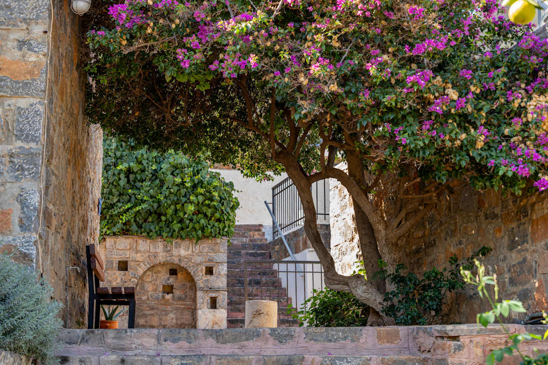 Gartenanlage Ariadne Beach Hotel