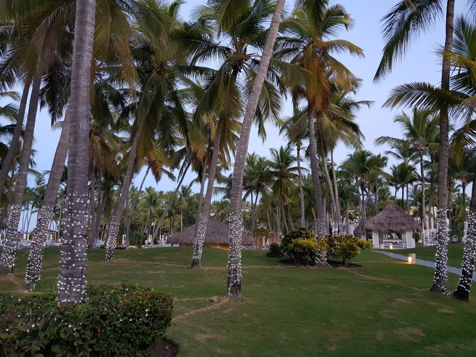 Gartenanlage Grand Bávaro Princess