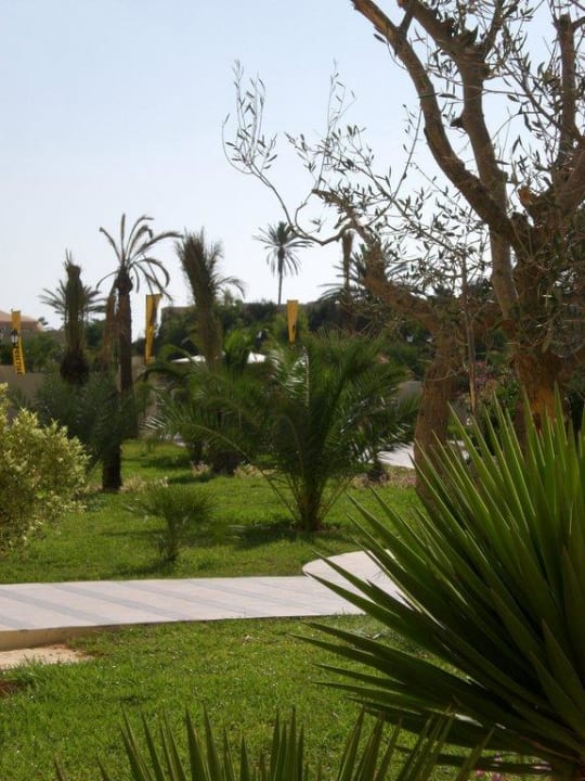 Sehr schön angelegte Gartenanlagen TUI MAGIC LIFE Penelope Beach