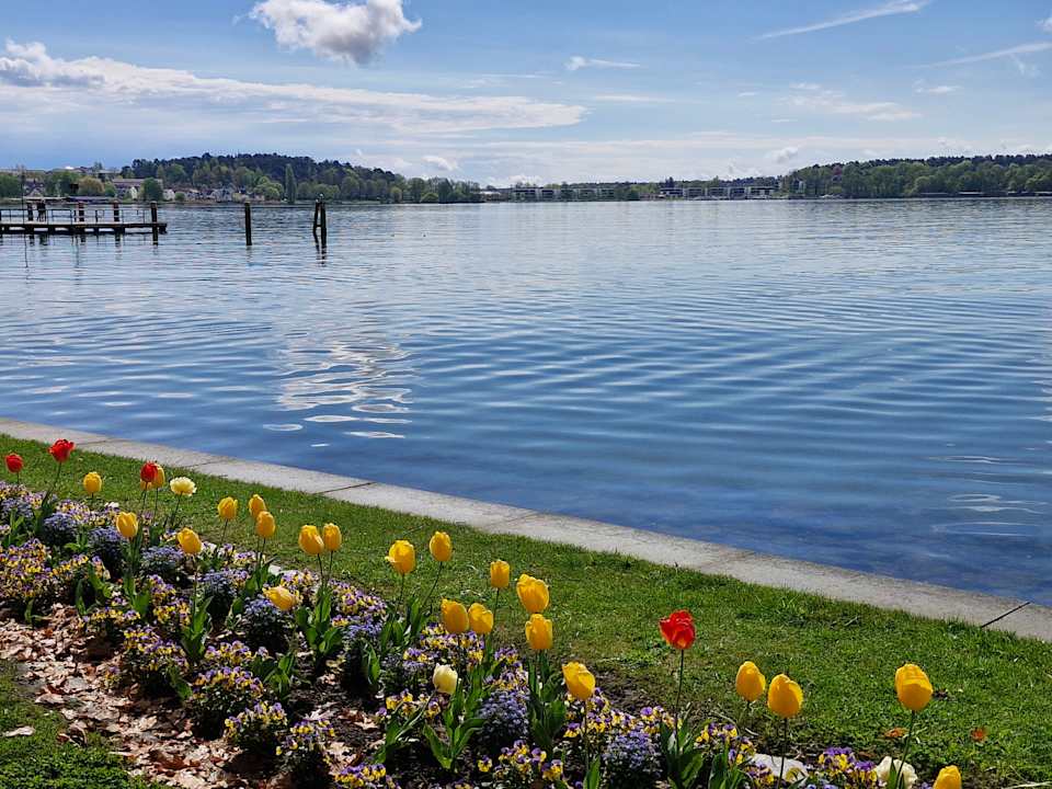 Gartenanlage Müritzpalais Aparthotel