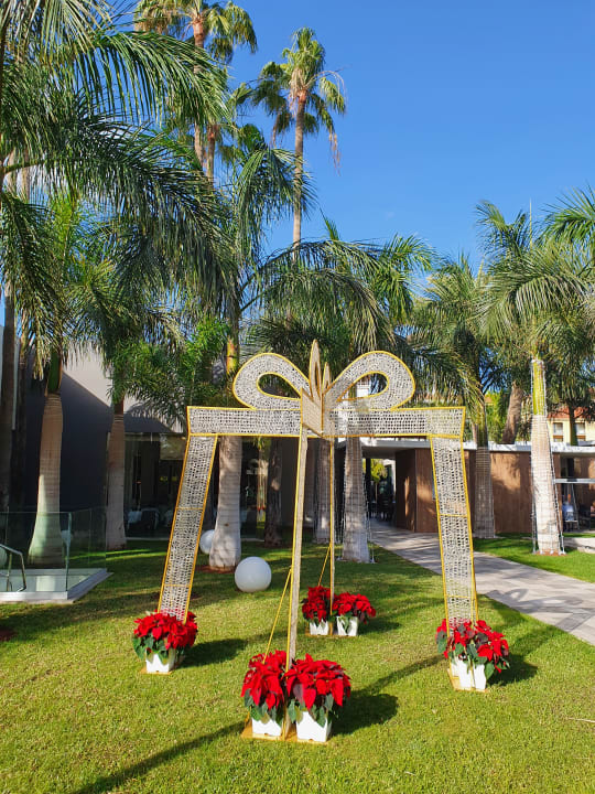 Gartenanlage Hotel Riu Palace Oasis