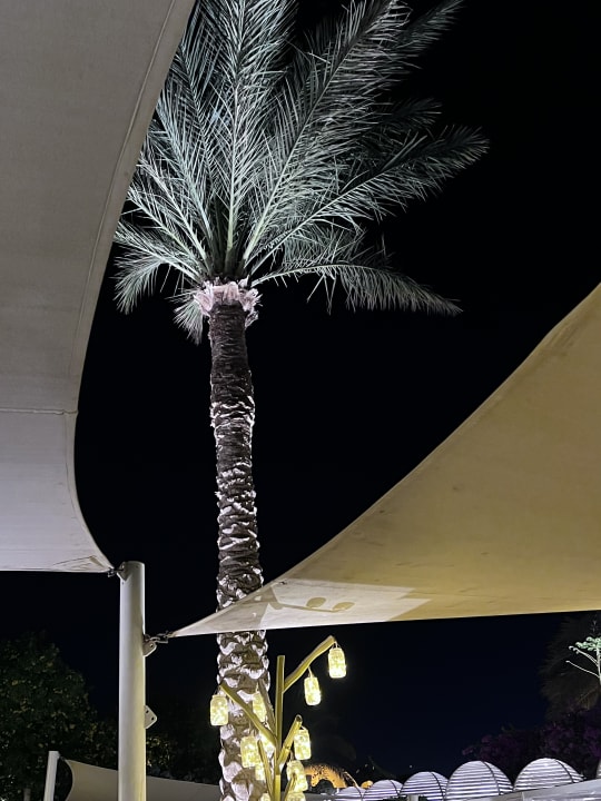 Außenansicht Desert Rose