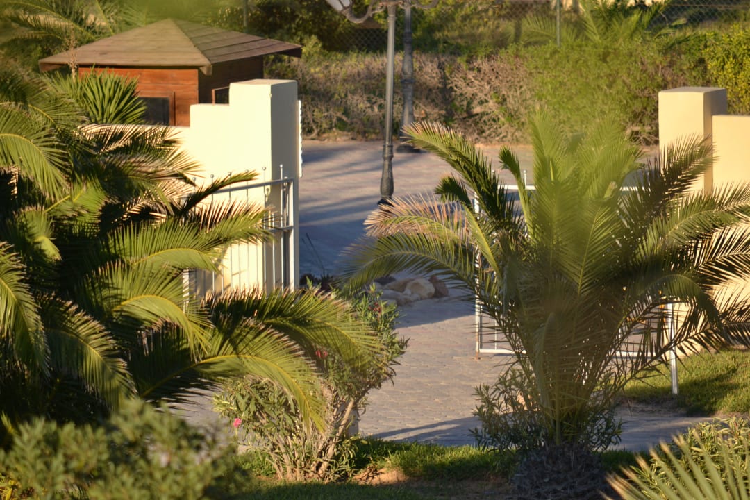 Weg zun Strand TUI MAGIC LIFE Penelope Beach