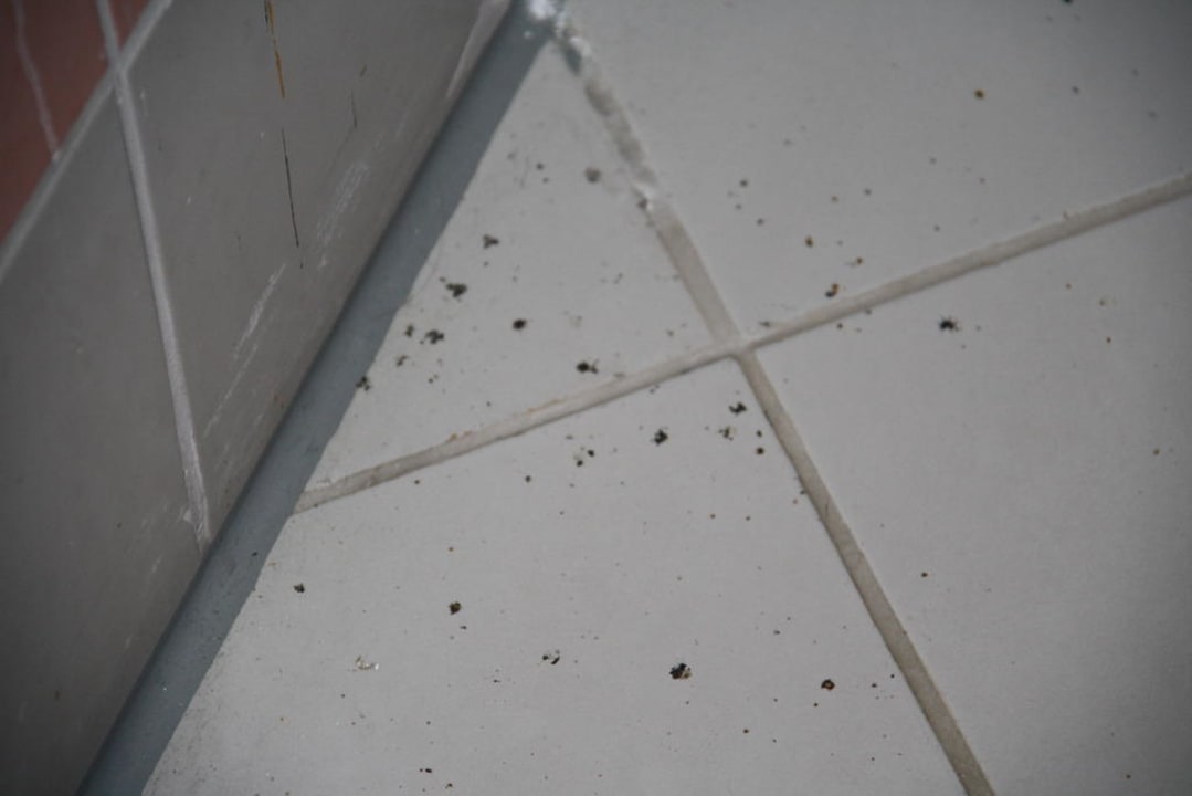 Schmuddeliges Bad im Zimmer 4272 Limak Limra Hotel & Resort