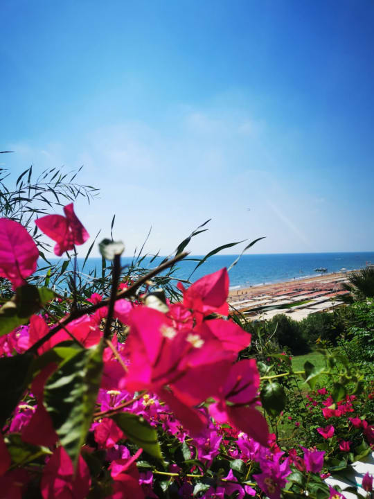 Ausblick Can Garden Resort