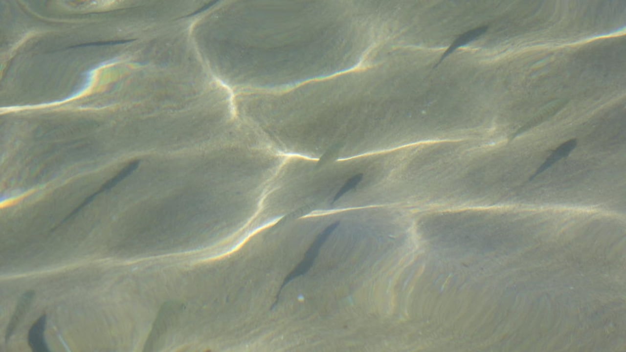 Klares Wasser Club Grand Side