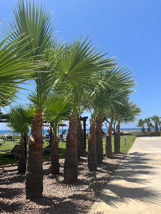 Gartenanlage ROBINSON CYPRUS