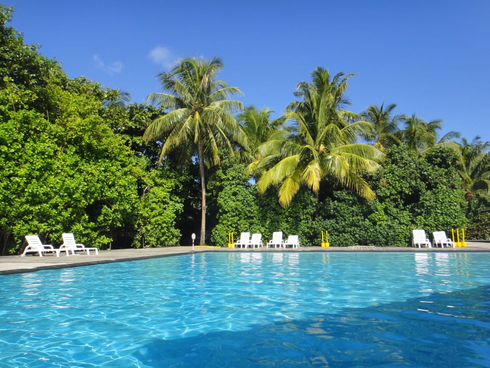 Pool am Morgen Adaaran Select Meedhupparu Island Resort - Premium All Inclusive