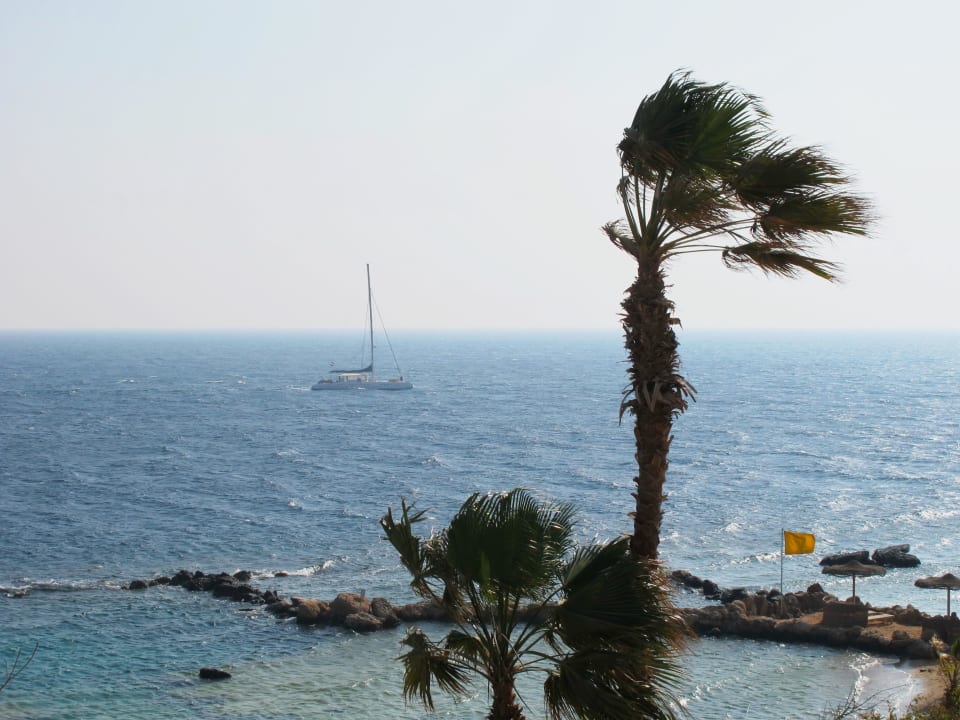 Цитадель азур Pickalbatros Citadel Resort