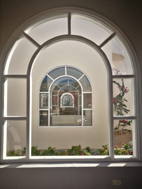 Sonstiges Desert Rose