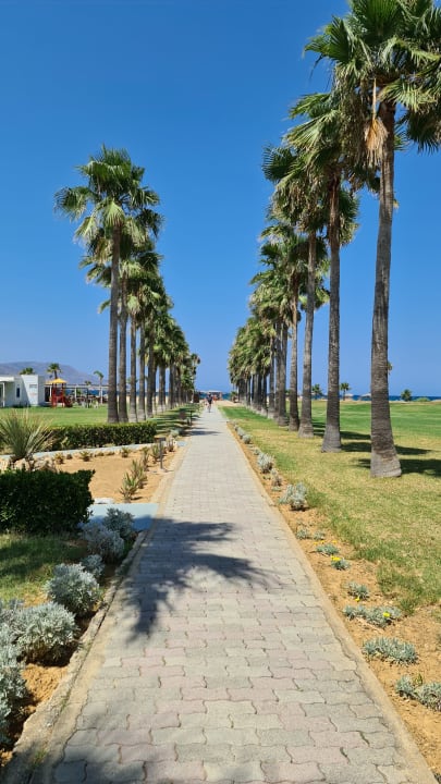 Gartenanlage Delfina Tropic Beach