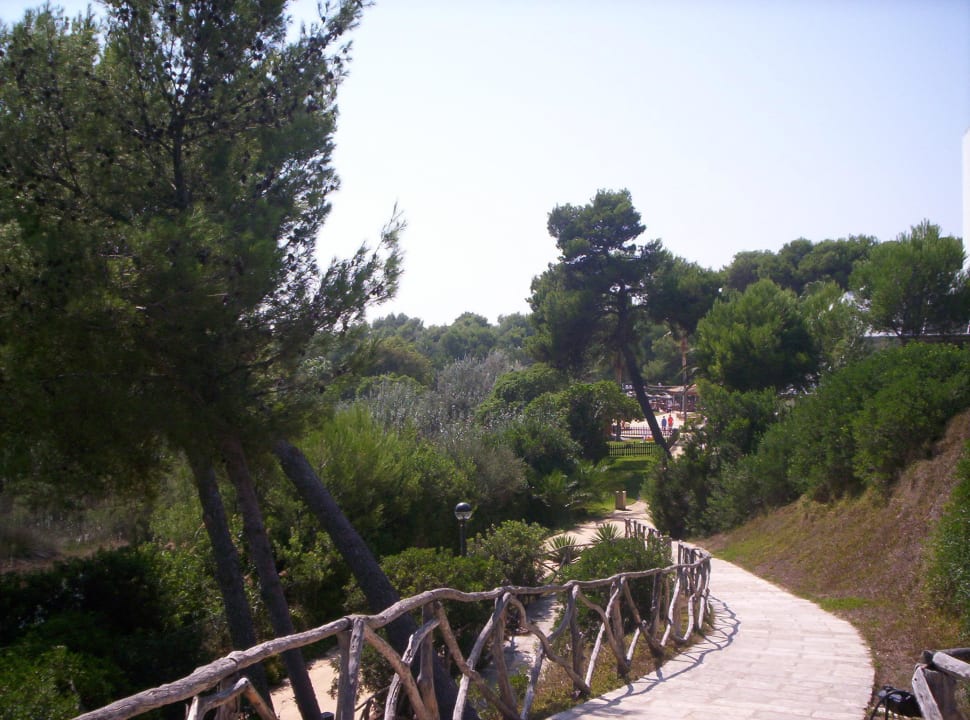 Weg zum Pool Hotel Exagon Park