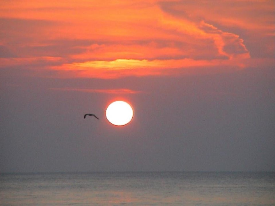 Sonnenaufgang 0653 am 10.08.2003 Hotel Club S'Illot