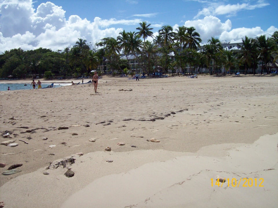 Paradise Grand Paradise Playa Dorada