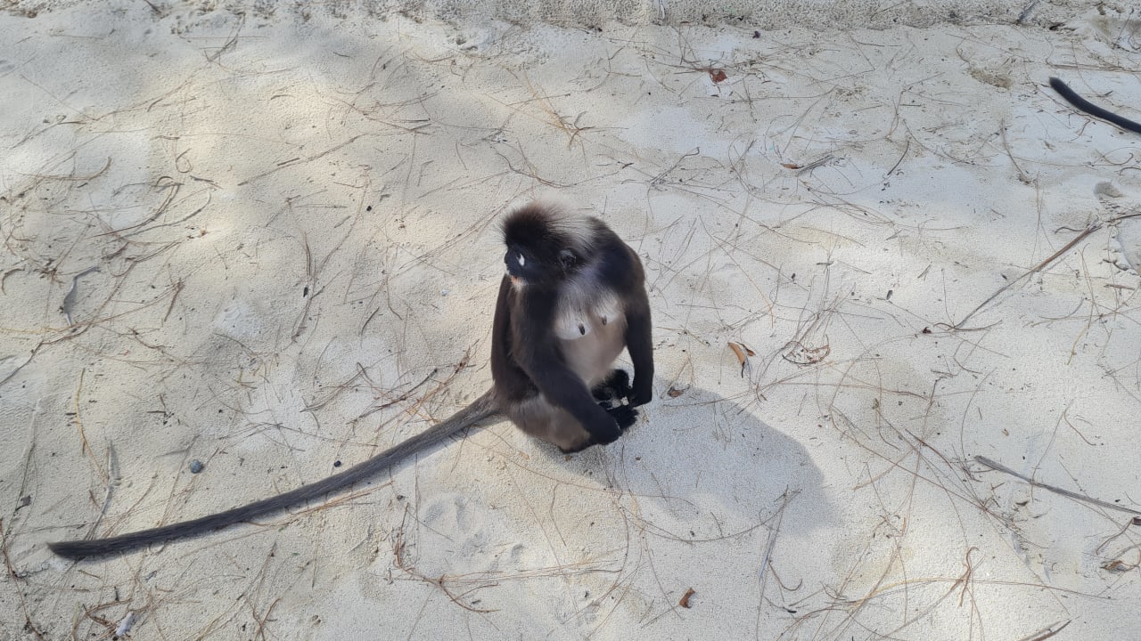 Strand Berjaya Langkawi Resort