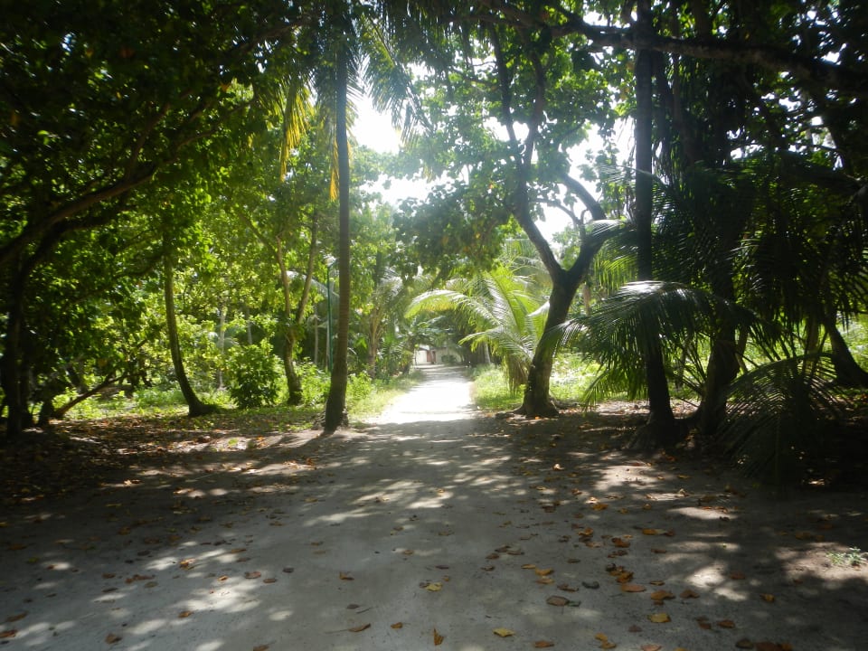 Garden Area Meeru Maldives Resort Island