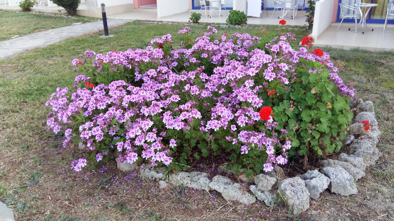 Gartenanlage Kresten Palace Hotel